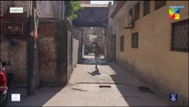 Tan Man Neel o Neel - Episode 02 - 14th December 2024